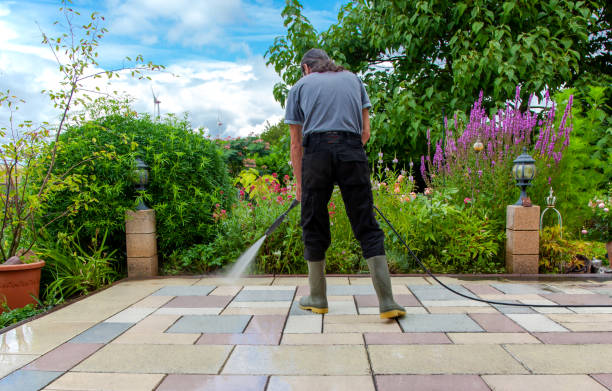 Best Roof Cleaning and Mildew Removal in Rochester, MN